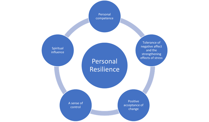 Image result for Overcoming Obstacles with Resilience: A Guide to Personal Growth infographics