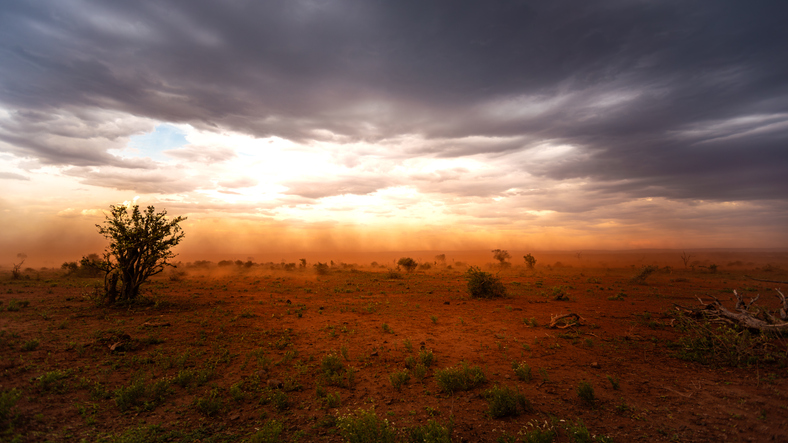 iStock-2192228426.jpg