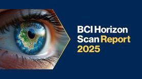 Resource - BCI Horizon Scan Report 2025.jpg