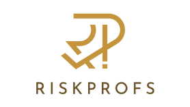 Risk Professionals Logo Small.png