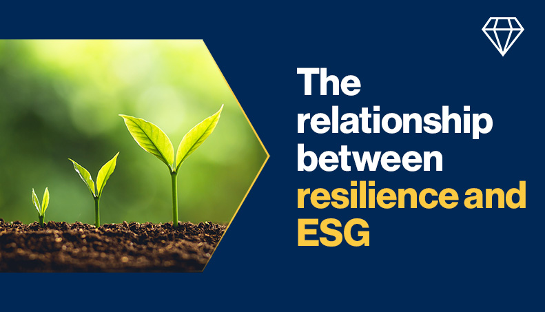 thumbnail-the-relationship-between-resilience-and-esg.jpg