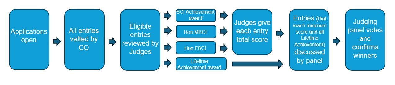Hon-Awards-Judging-Process.png