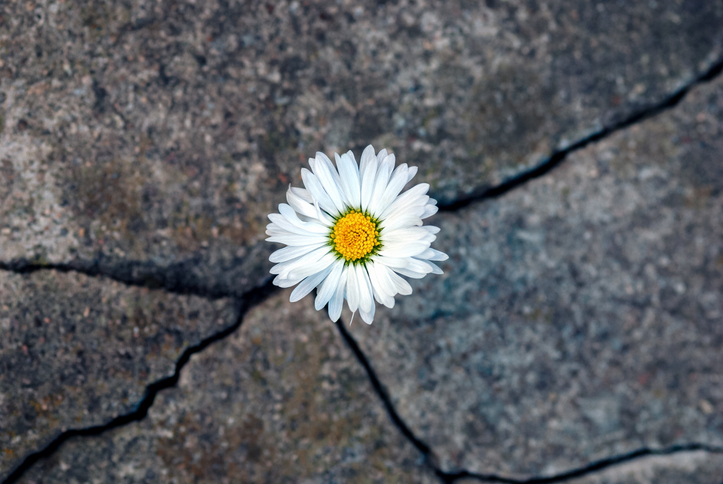 iStock-1325301909.jpg
