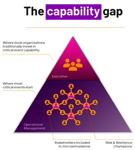 capability gap.png
