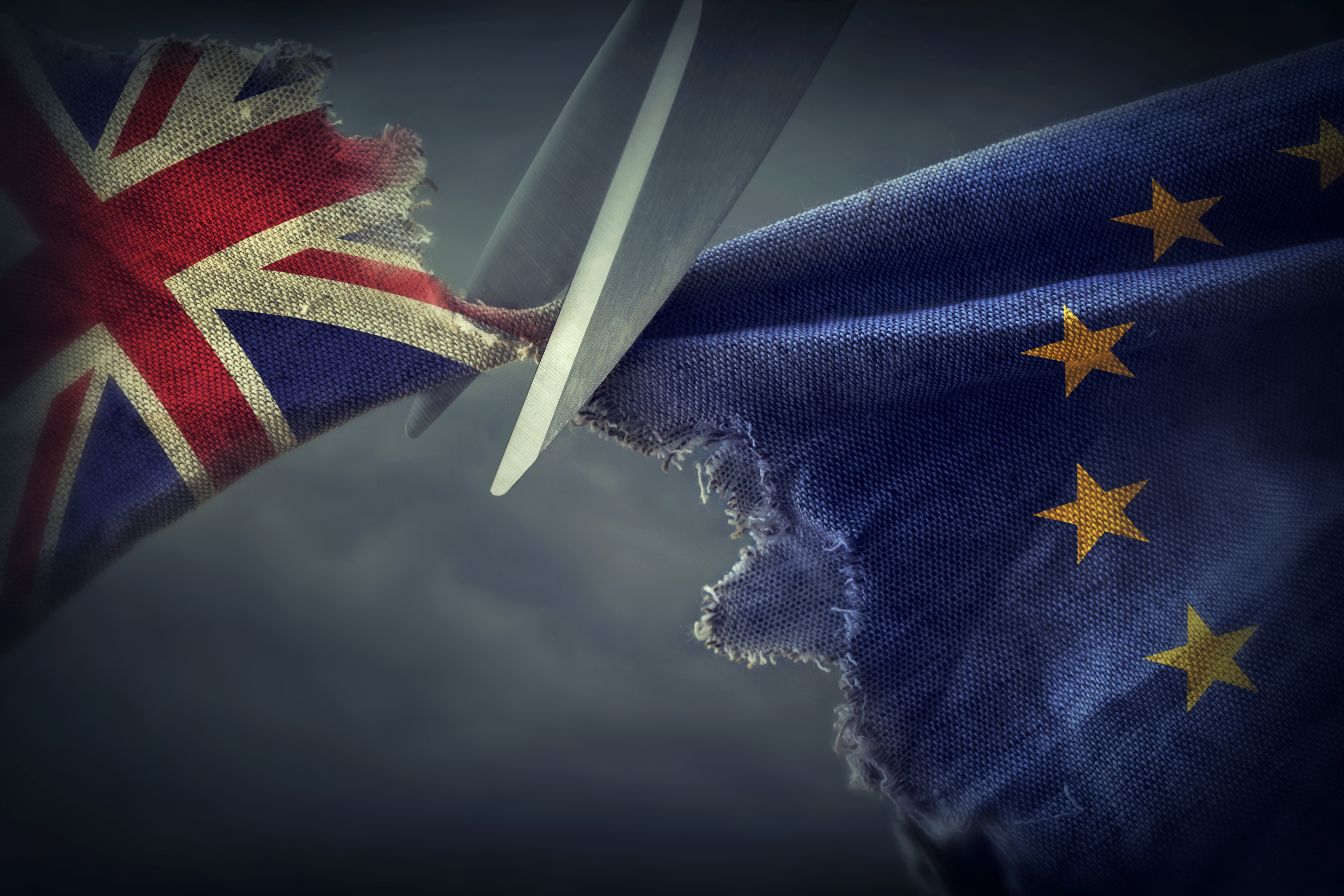 continuity-magazine-brexit.jpg